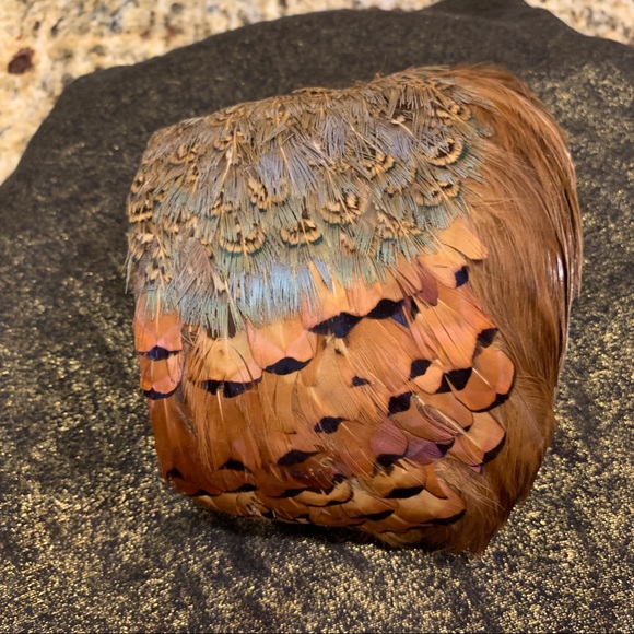 Vintage, 1950’s Pheasant Feather hat with Bangs .  Excellent condition . - Picture 6 of 13